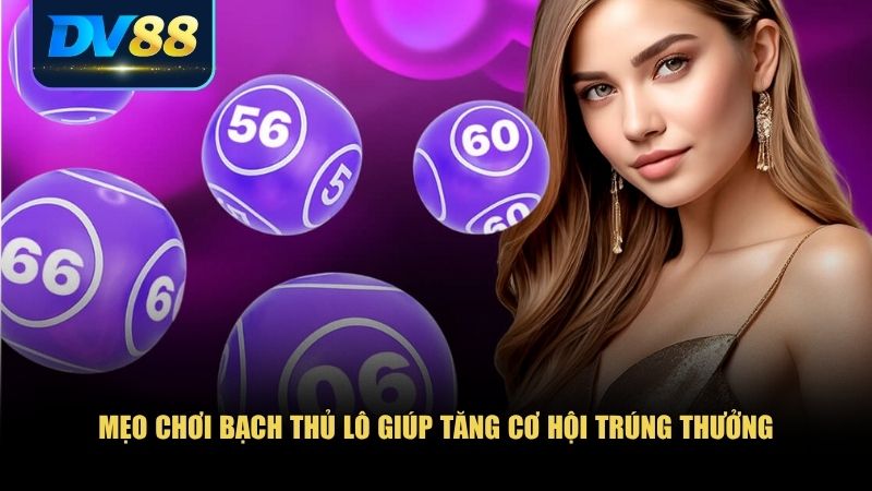 Bạch Thủ Lô Là Gì? Giải Mã Cách Chơi Và Cơ Hội Chiến Thắng 3 Những mẹo giúp bạn chơi bạch thủ lô hiệu quả hơn