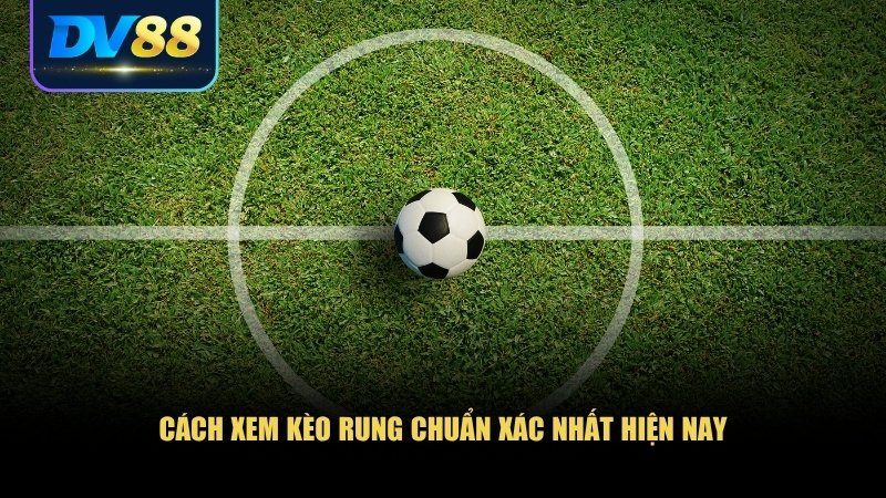 Cách Xem Kèo Rung Trong Cá Độ Bóng Đá Cho Người Mới 2 Hướng dẫn cách xem kèo rung cụ thể giúp bạn làm chủ cuộc chơi