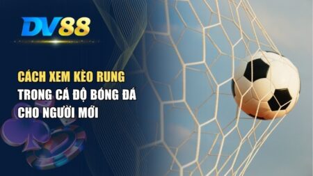cách xem kèo rung